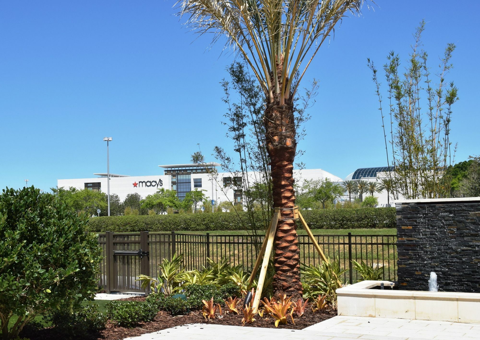 Springhill Suites By Marriott Orlando At Millenia Luaran gambar
